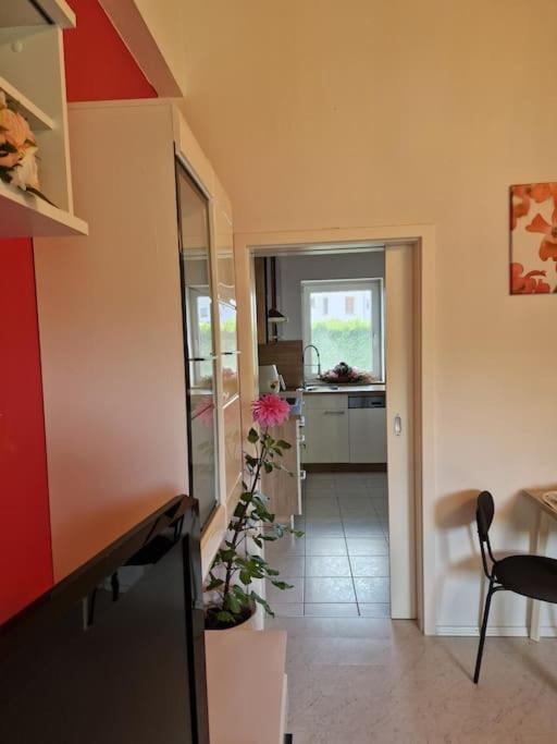 Apartment Bayernbrise